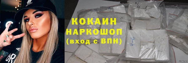 прущие грибы Нефтекумск