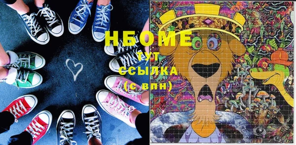 прущие грибы Нефтекумск