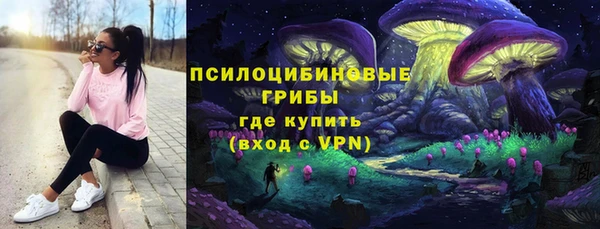 прущие грибы Нефтекумск
