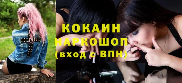 прущие грибы Нефтекумск