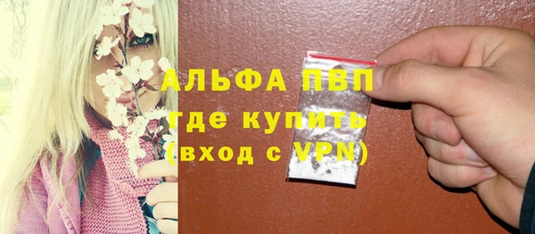 прущие грибы Нефтекумск