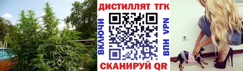 ТГК THC oil Протвино