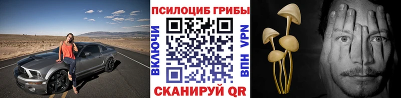 Псилоцибиновые грибы мицелий  где найти   Протвино 
